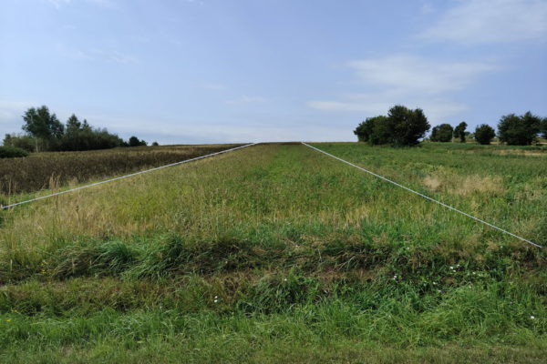 Działka budowlana Husów